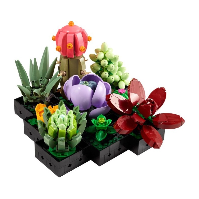 Succulents