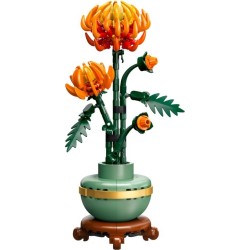 Chrysanthemum
