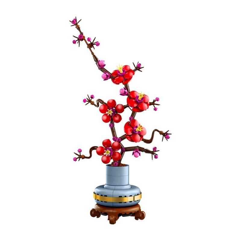 Plum Blossom