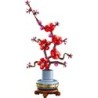 Plum Blossom