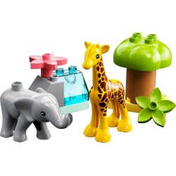 Wild Animals of Africa