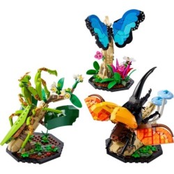 The Insect Collection