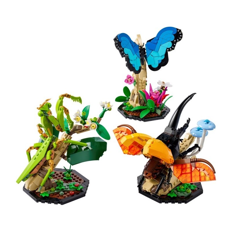 The Insect Collection