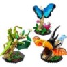 The Insect Collection