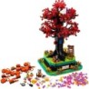 Family Tree