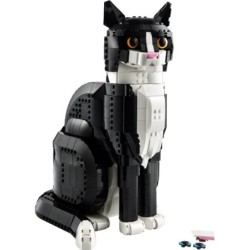 Tuxedo Cat