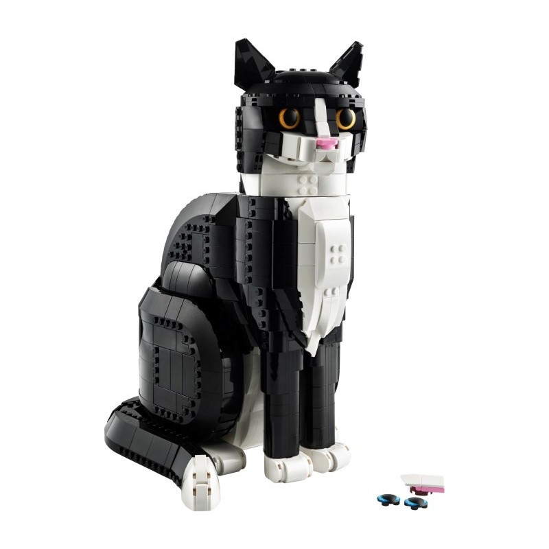 Tuxedo Cat