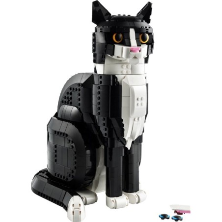Tuxedo Cat
