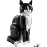 Tuxedo Cat