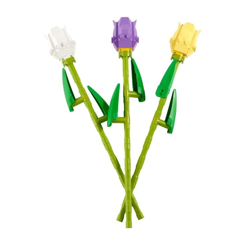 Tulips