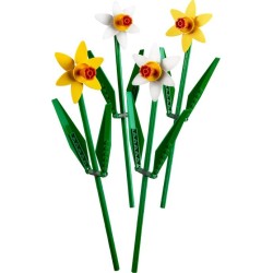 Daffodils