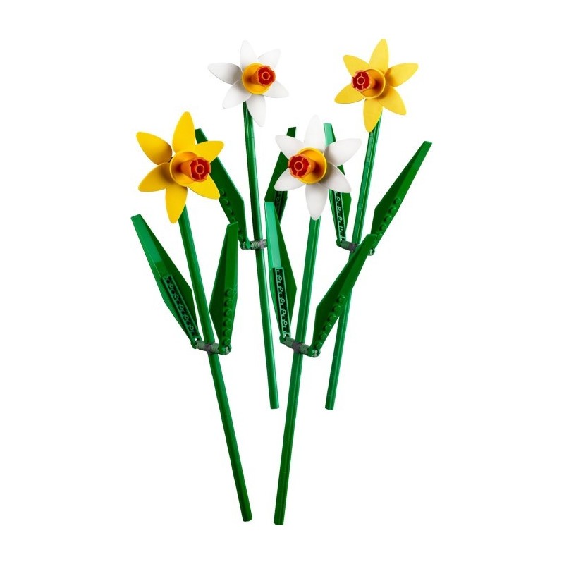 Daffodils