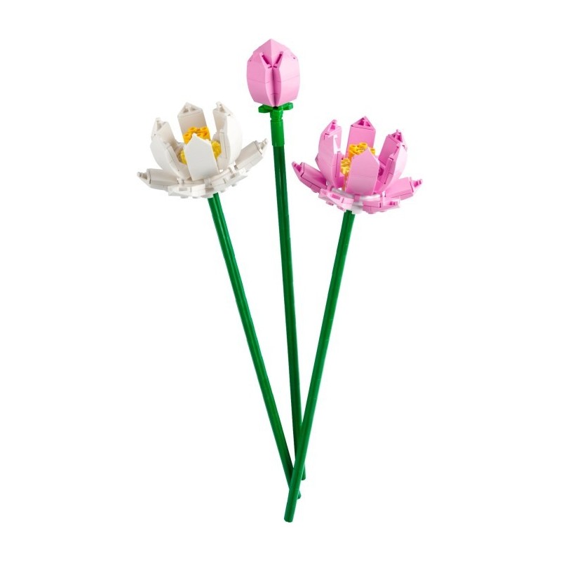Lotus Flower