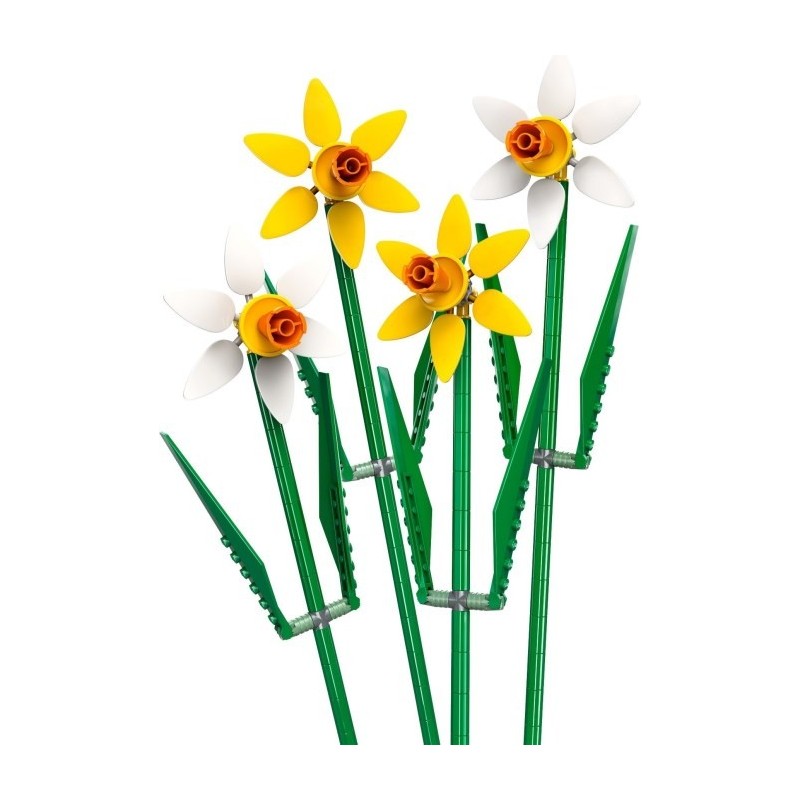 Daffodils