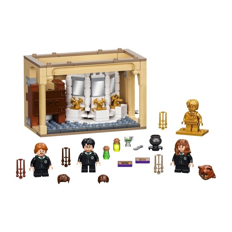 Hogwarts: Polyjuice Potion Mistake
